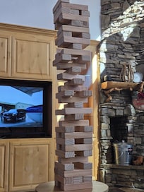 TV and fireplace were very nice.