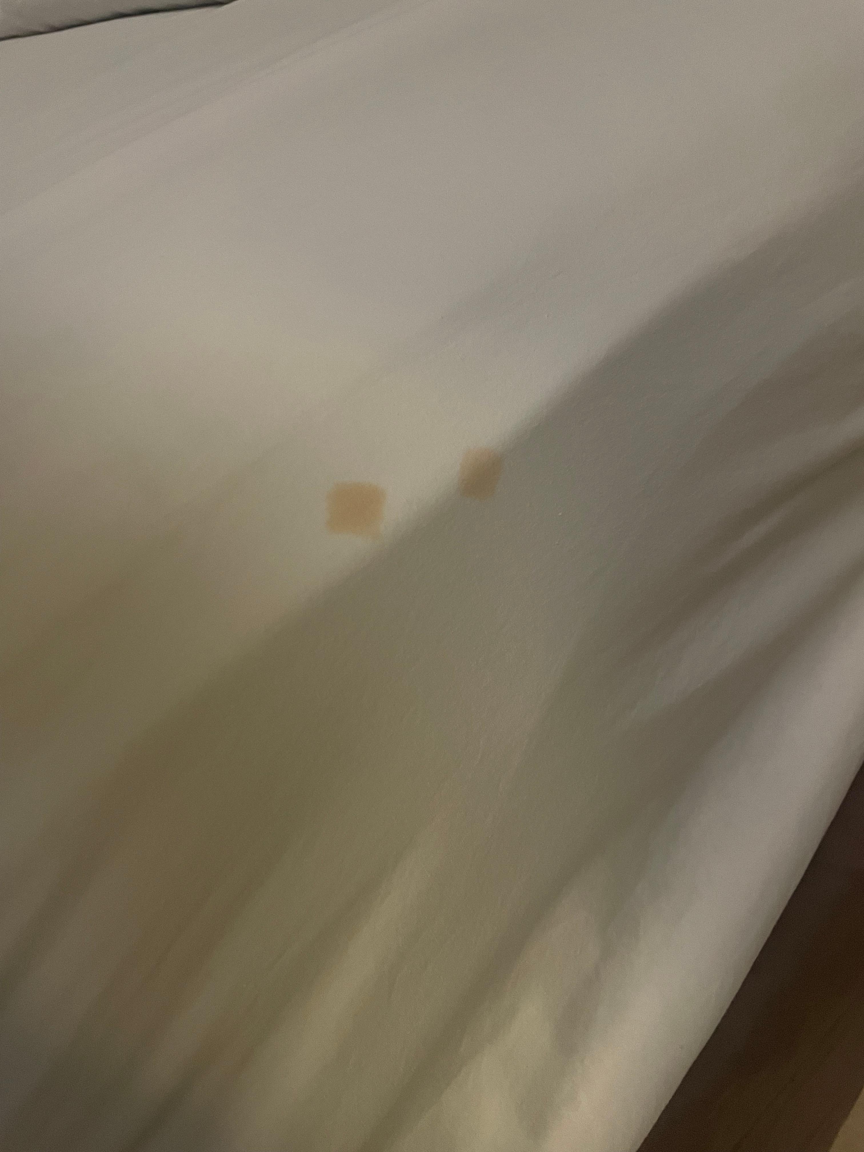 Blood stains on bed sheet