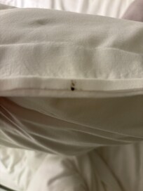 Dirty pillow cases
