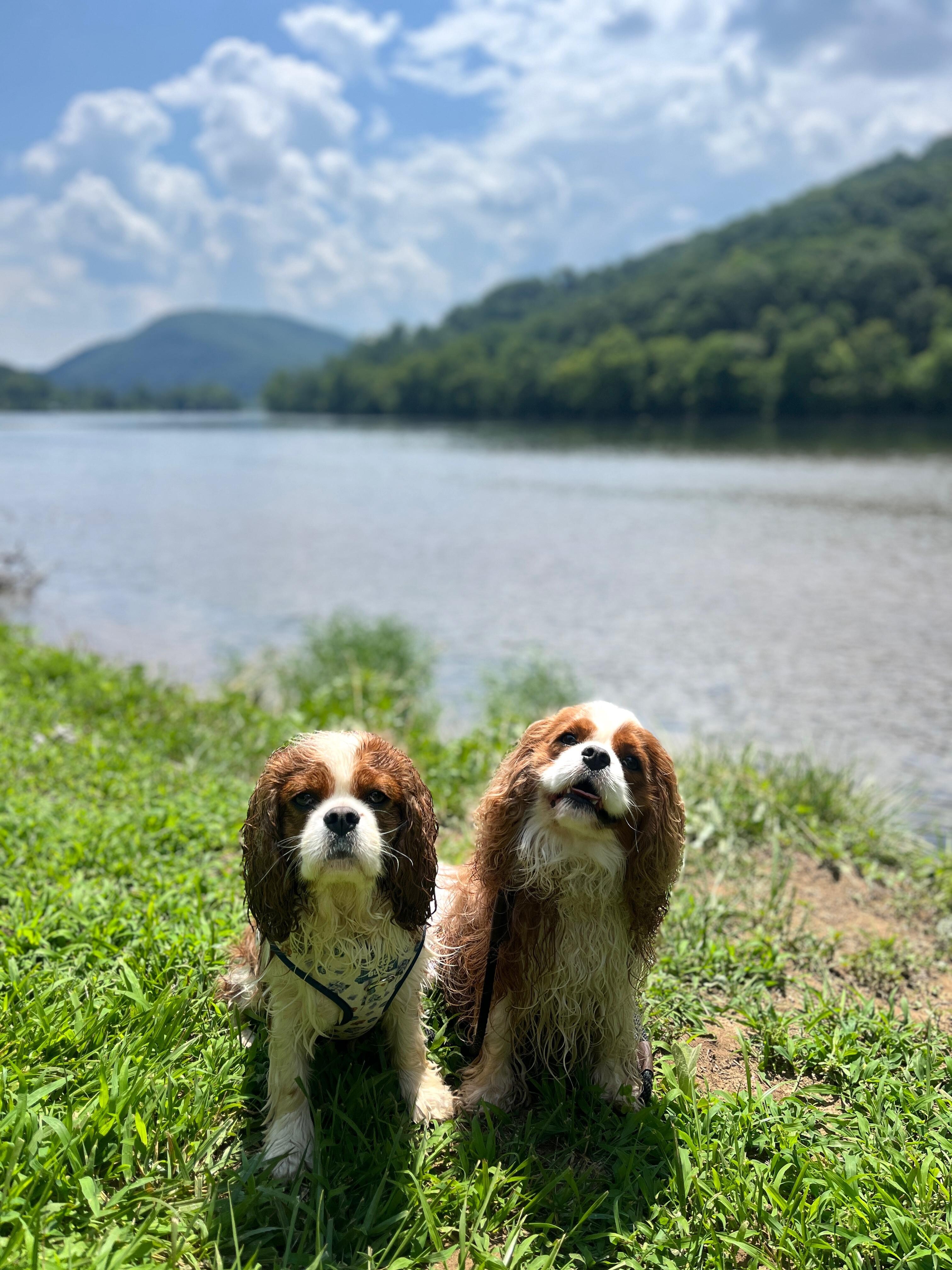The New River nearby 