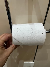 Sujeira do teto no rolo de papel higiênico
