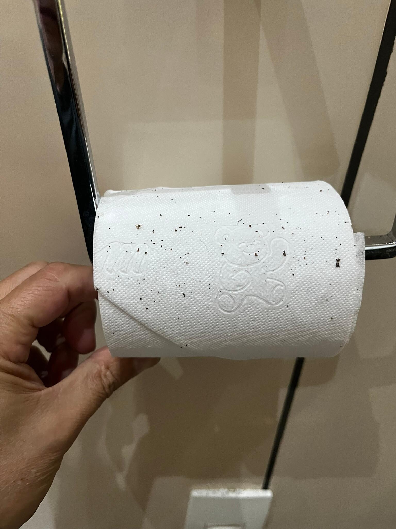 Sujeira do teto no rolo de papel higiênico