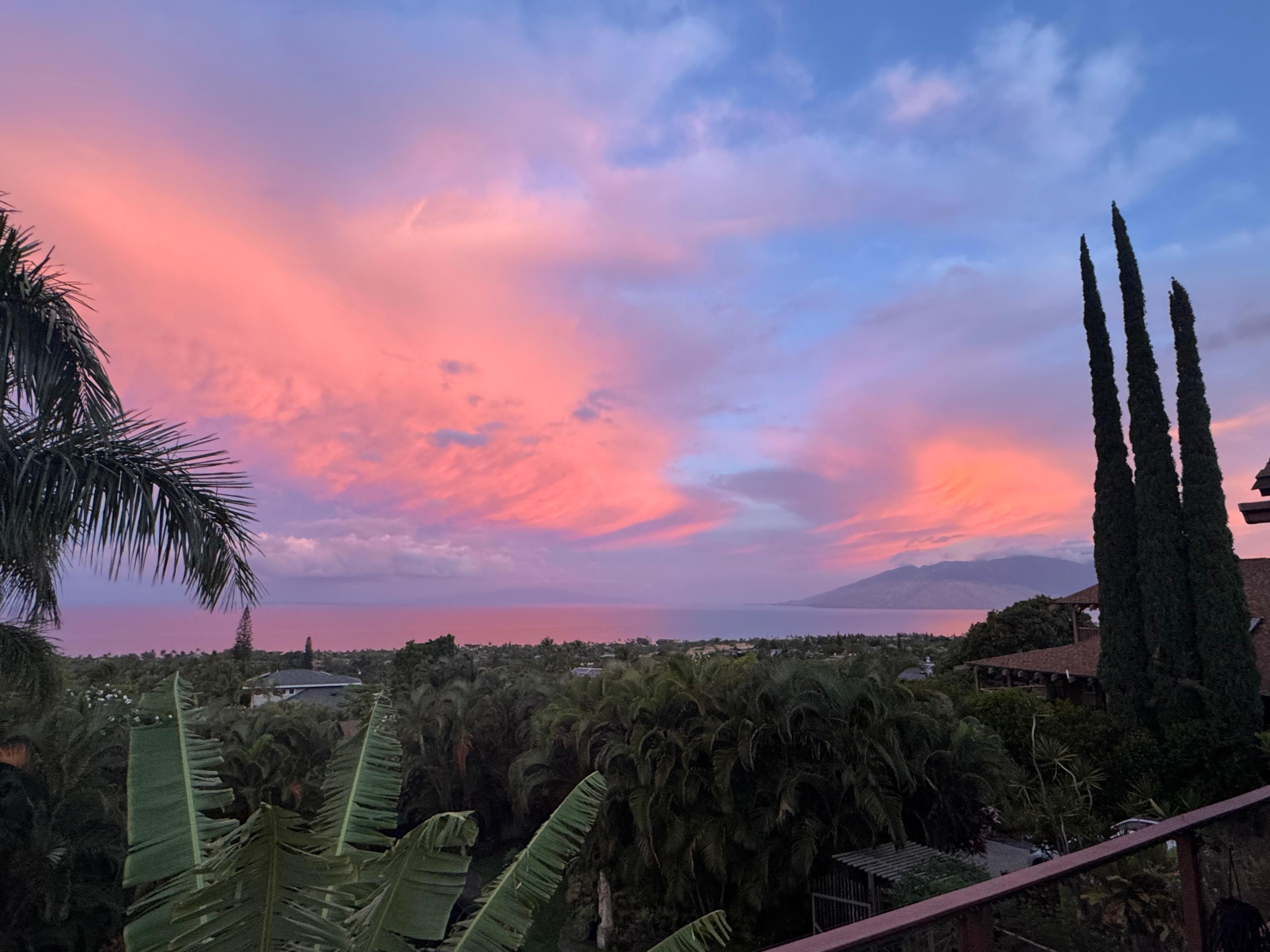 Paradise view