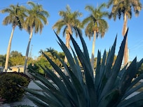 View from front yard