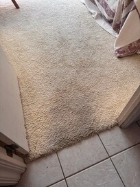 Carpet next to Kitchen