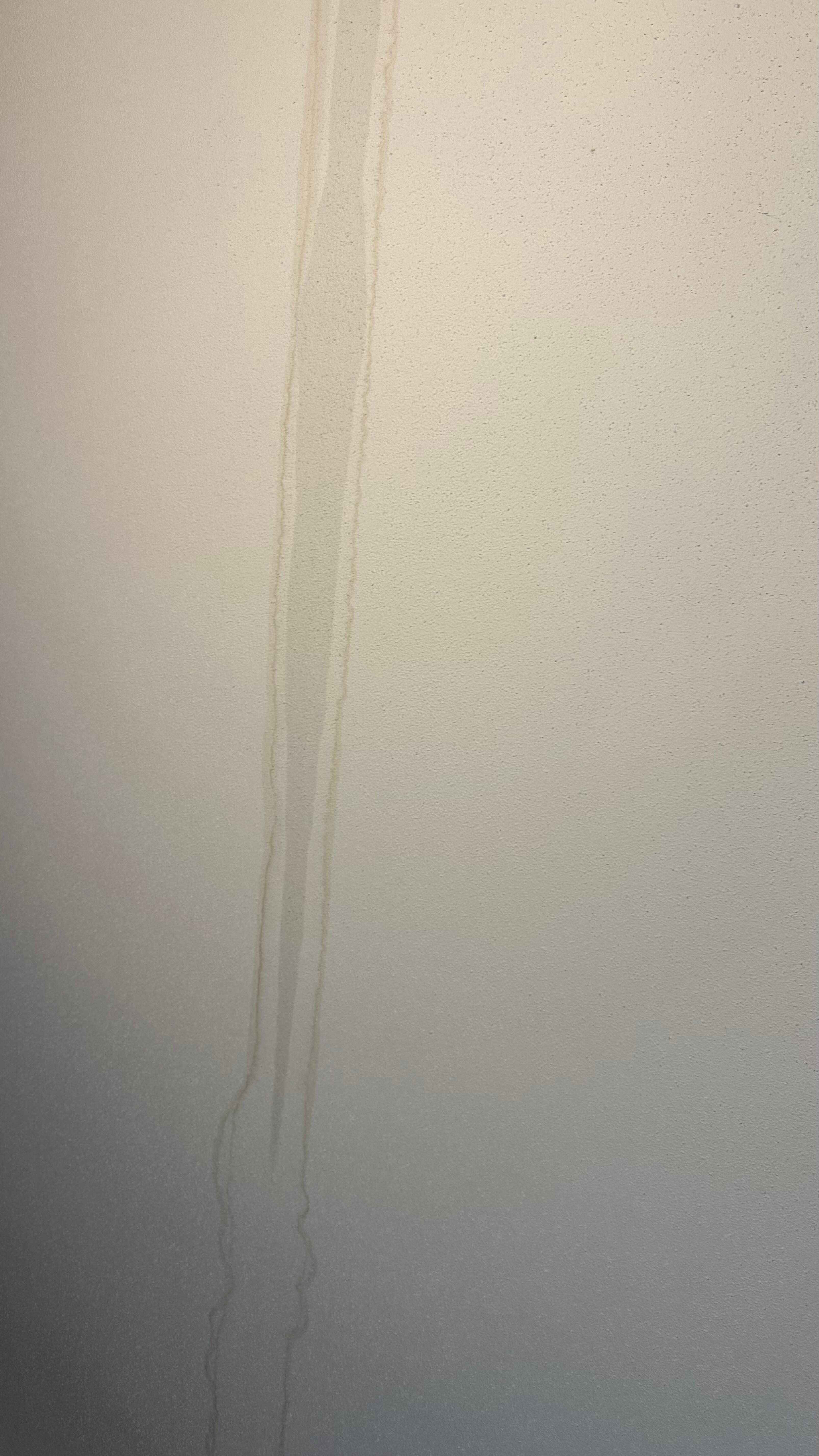 Water coming through ceiling