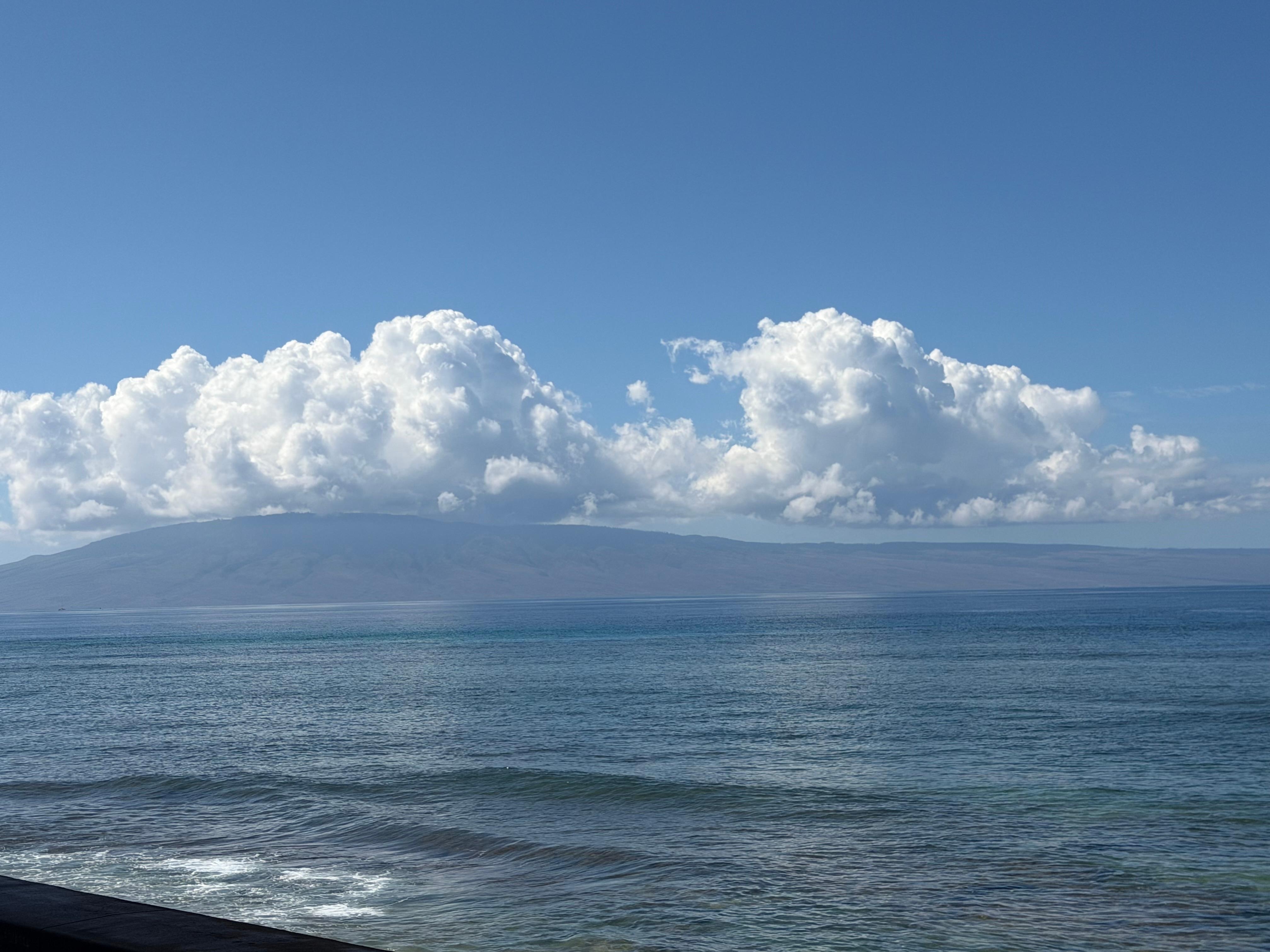 Morning view from the unit.