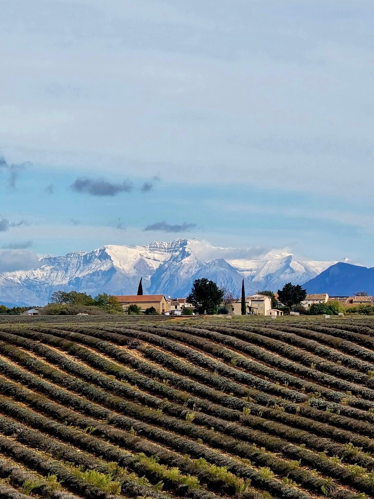 Plateau de Valensole