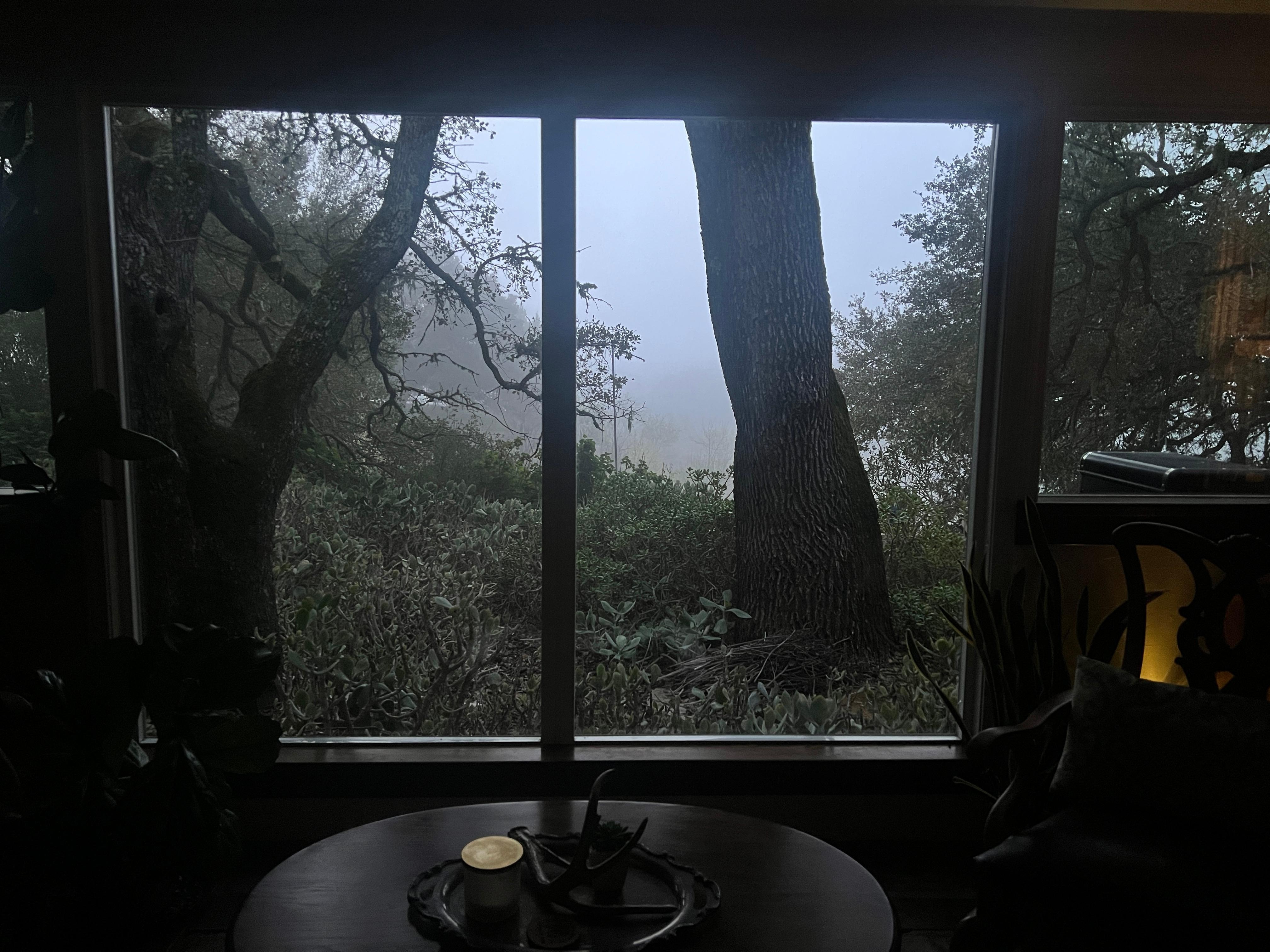 Early am view. We loved the fog!!!