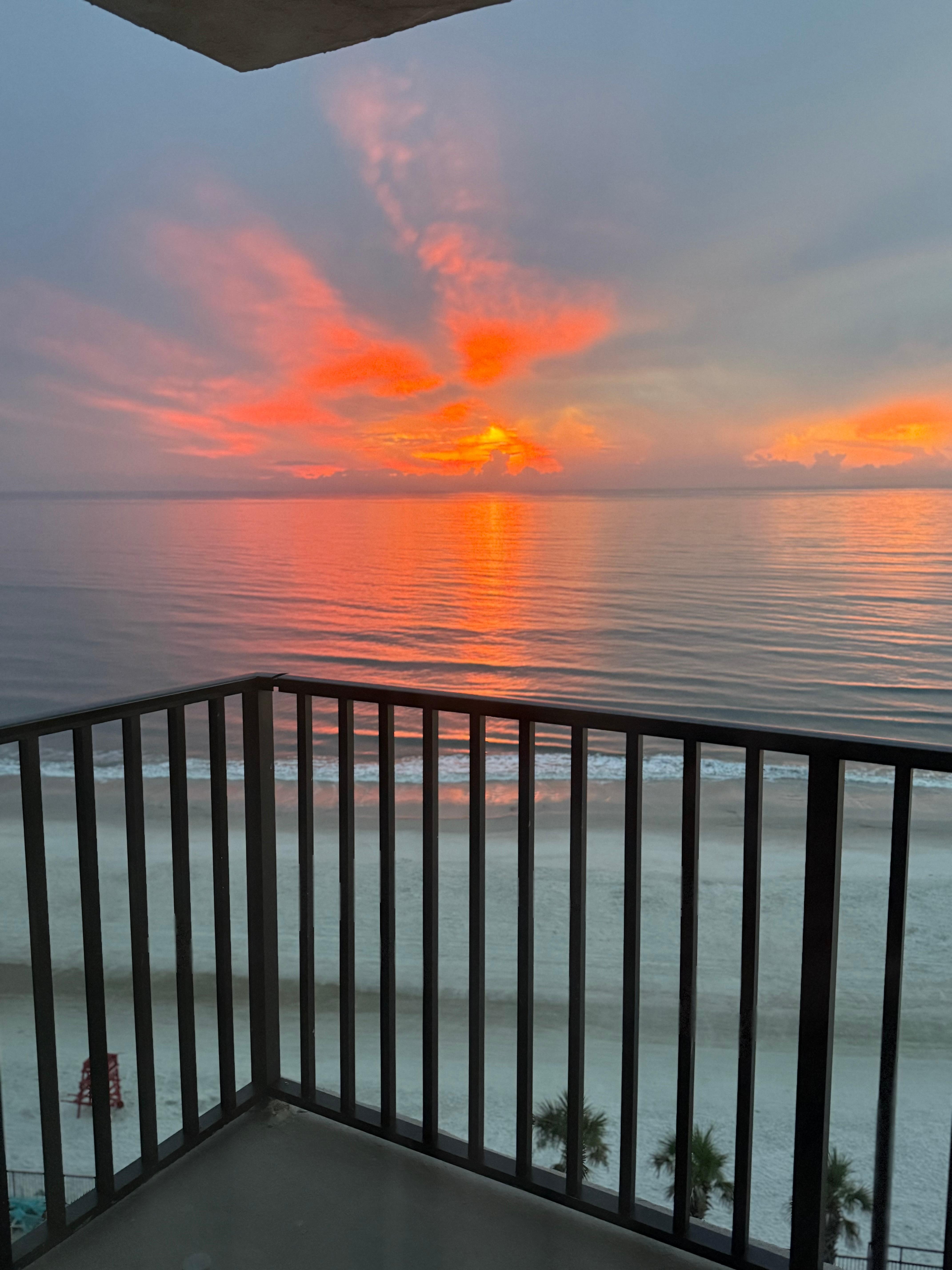Our morning veiw