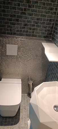 Left side of the bathroom
Toilet and sink