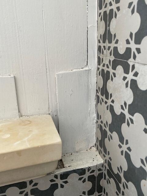 Mould in bathroom by the shower