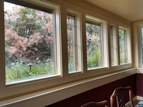 View from dining room into beautifully maintained garden.