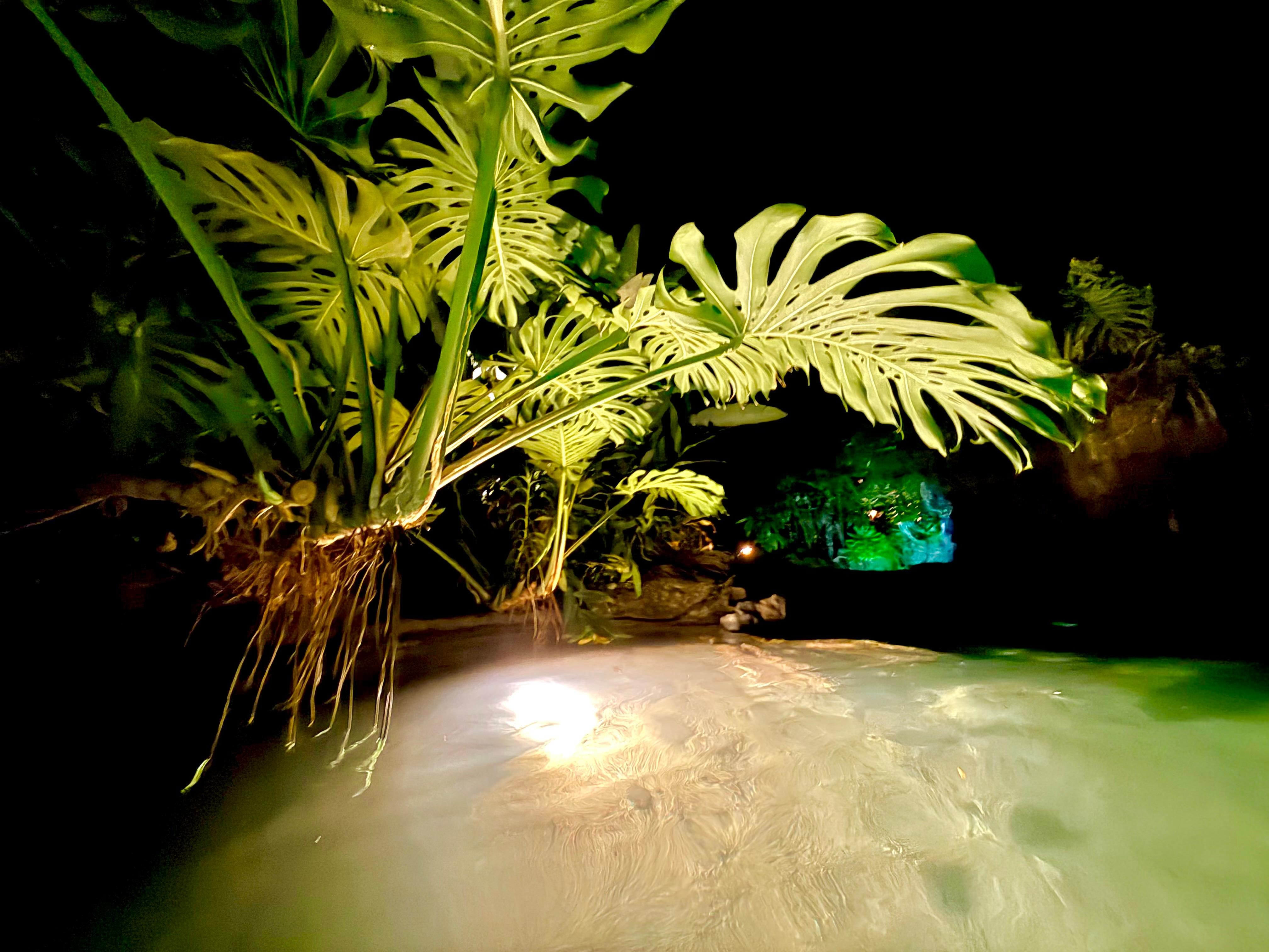 Pool at night