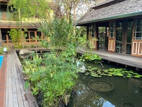 プール横の池にはコイが泳いでいました。