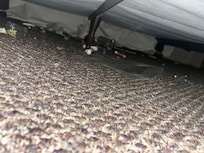 Under one of the beds in the loft.