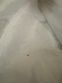 stain on sheet