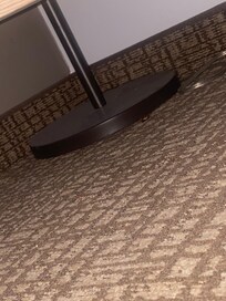 Dead roach found under chair next to bed