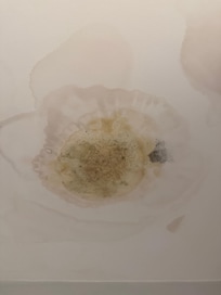Mold in the bathroom ceiling