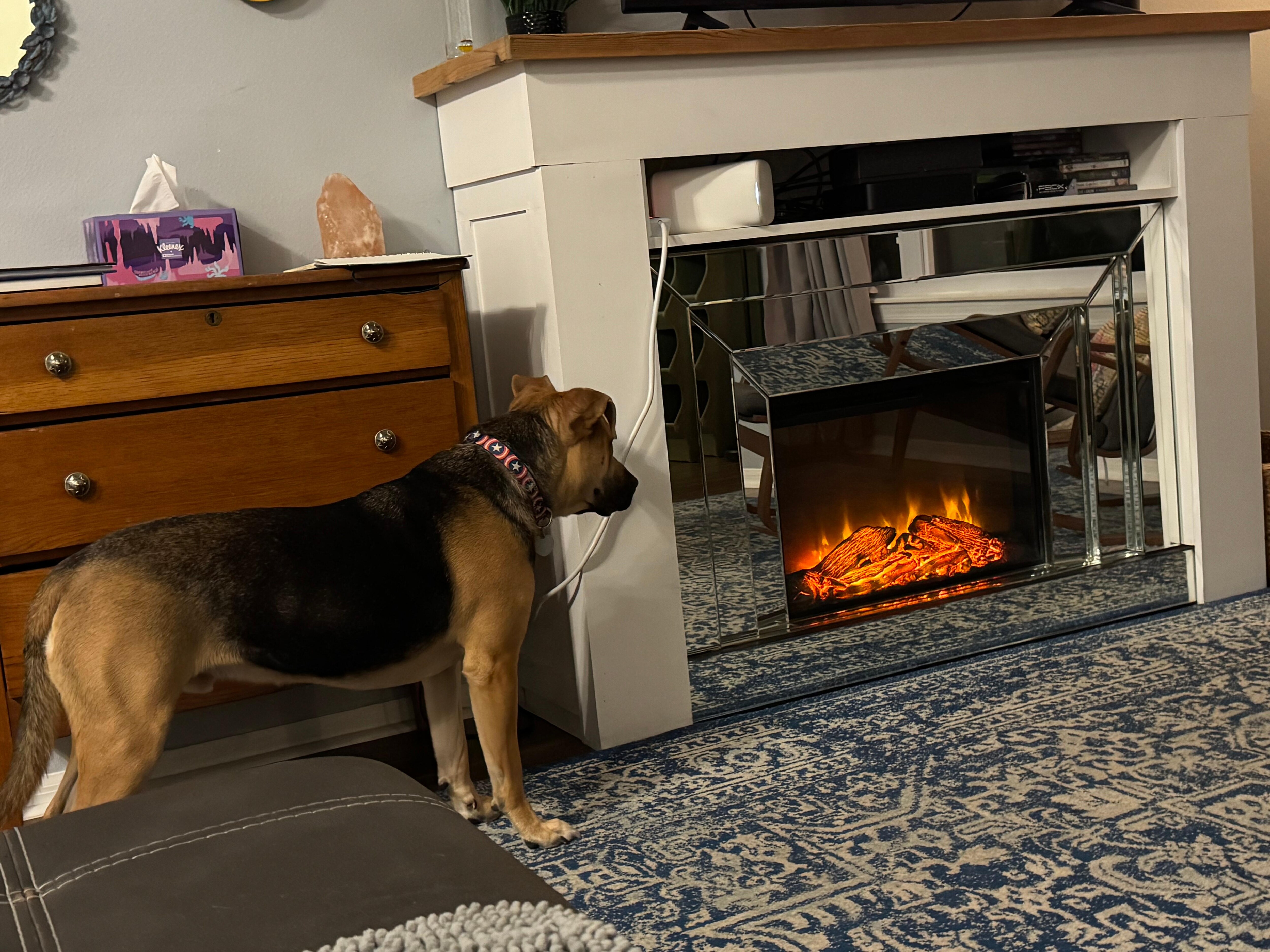 Living room with heat emitting electric fireplace 