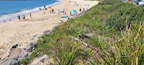 Stockton Beach