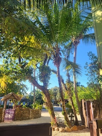 Beautiful front yard