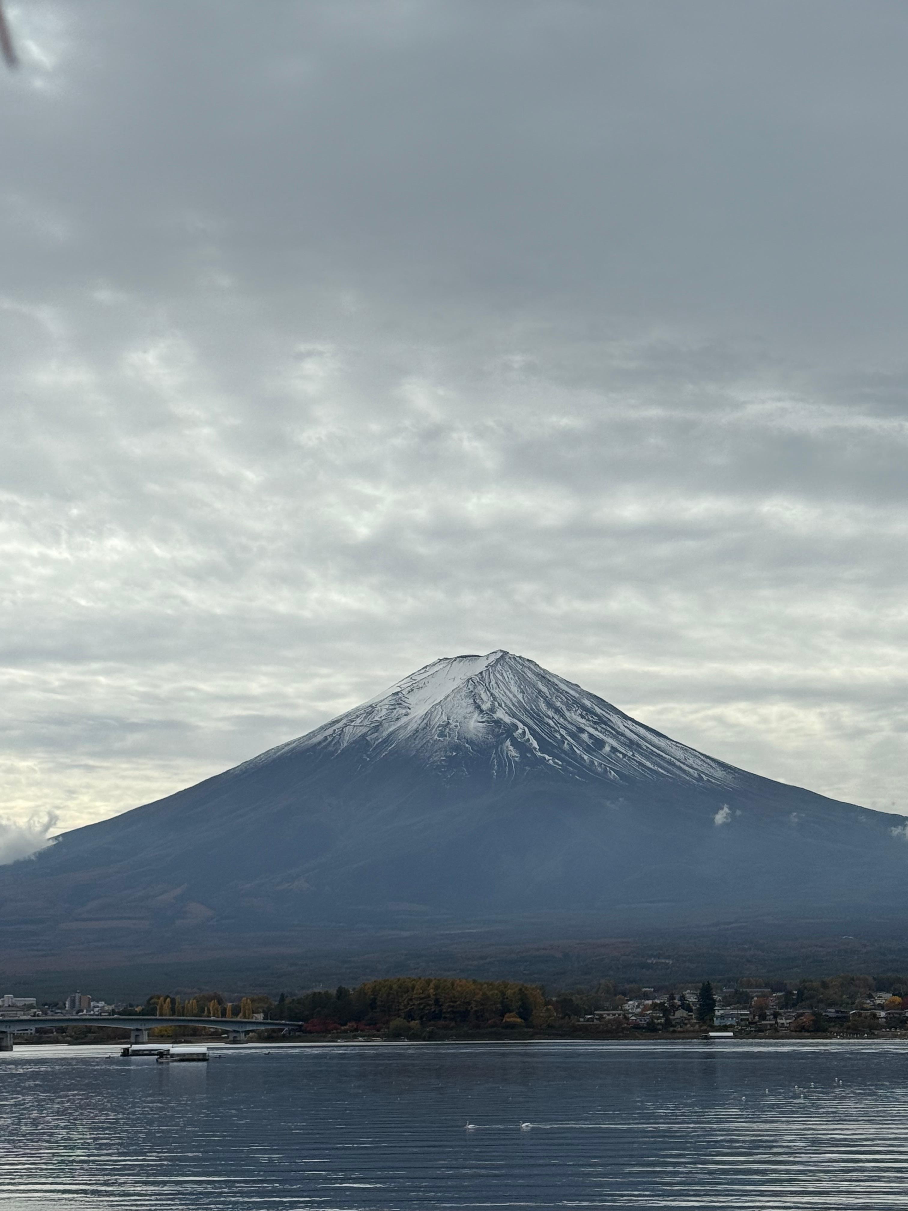 Picture of Mt. Fuji.