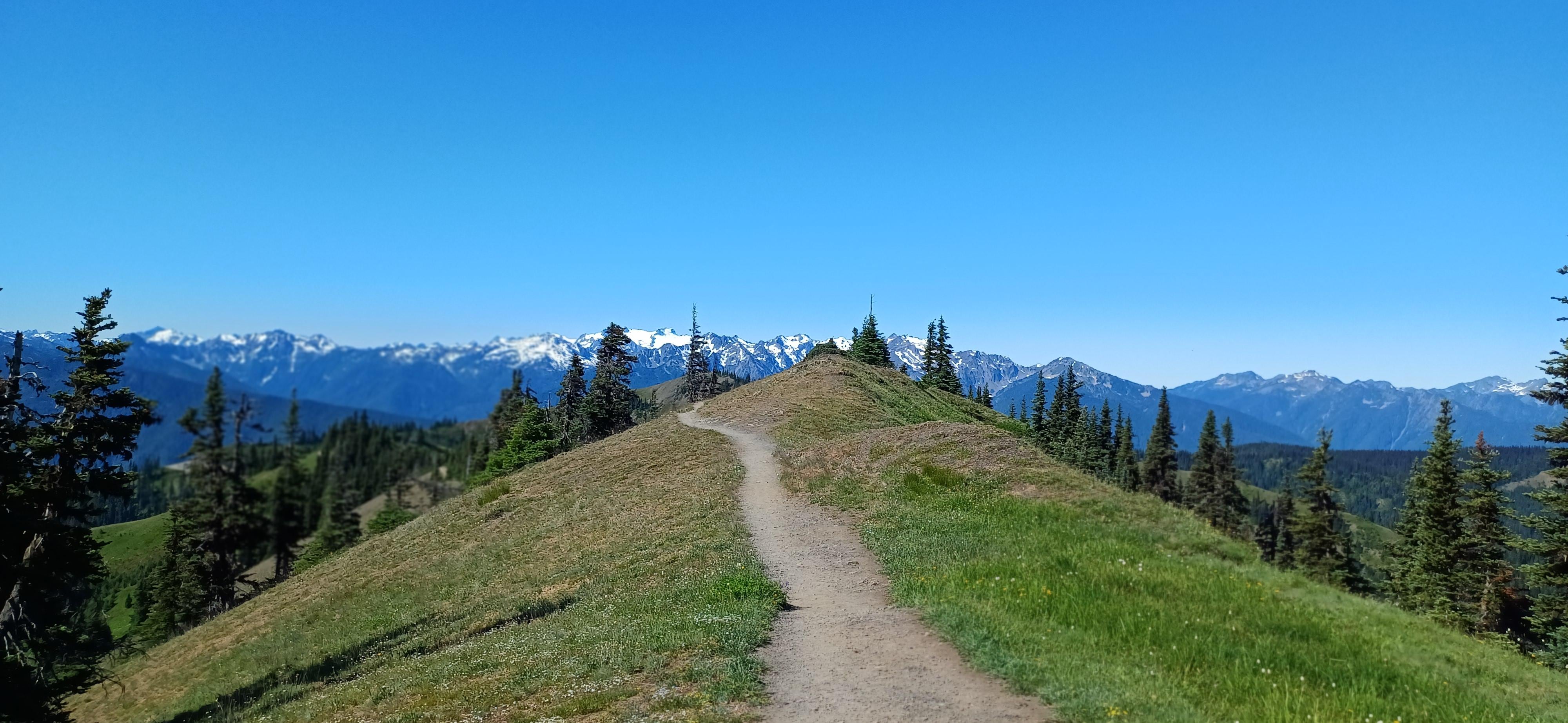Near Hurricane Ridge