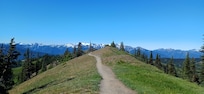 Near Hurricane Ridge