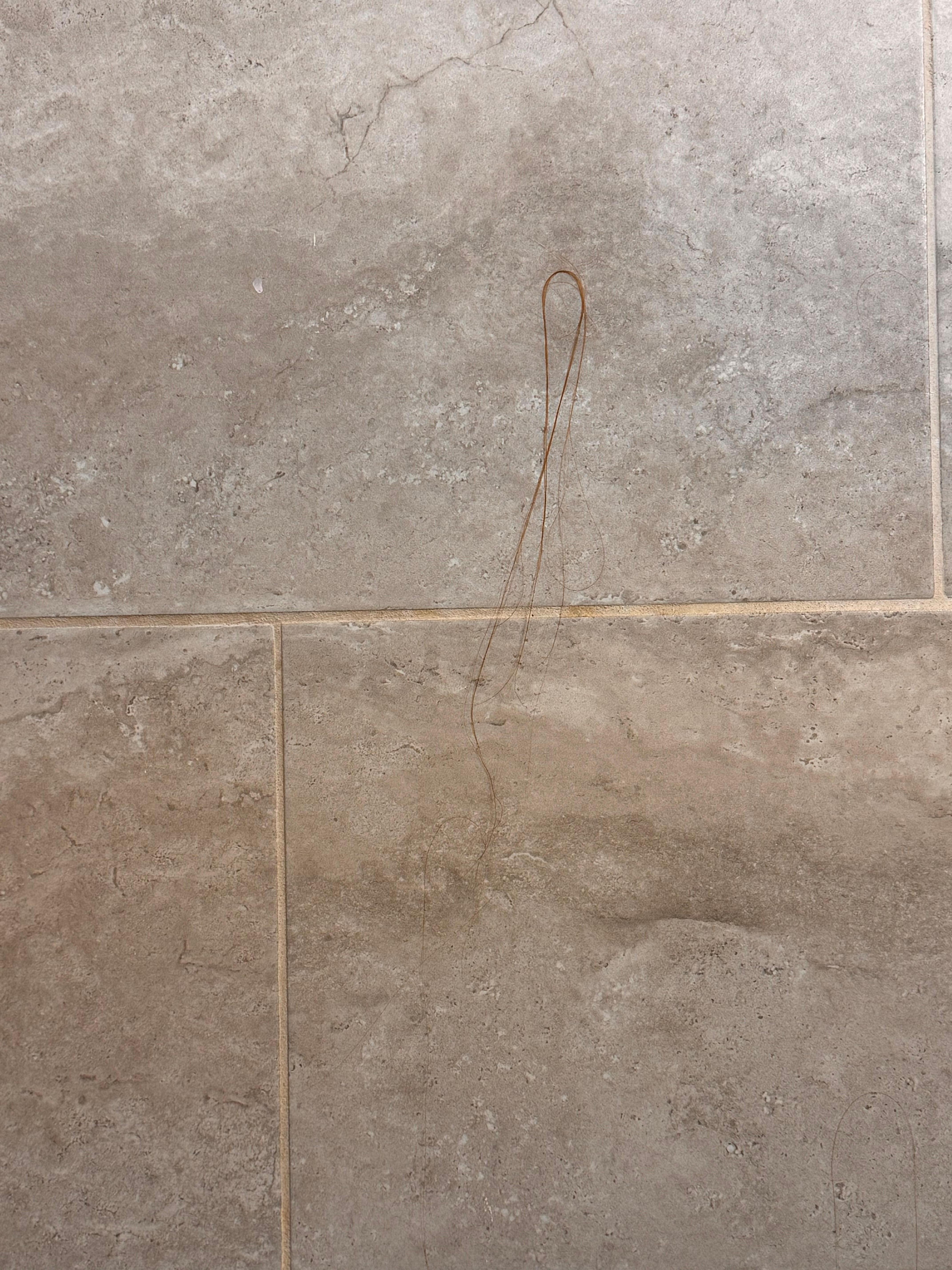 Hair stuck on the shower wall.