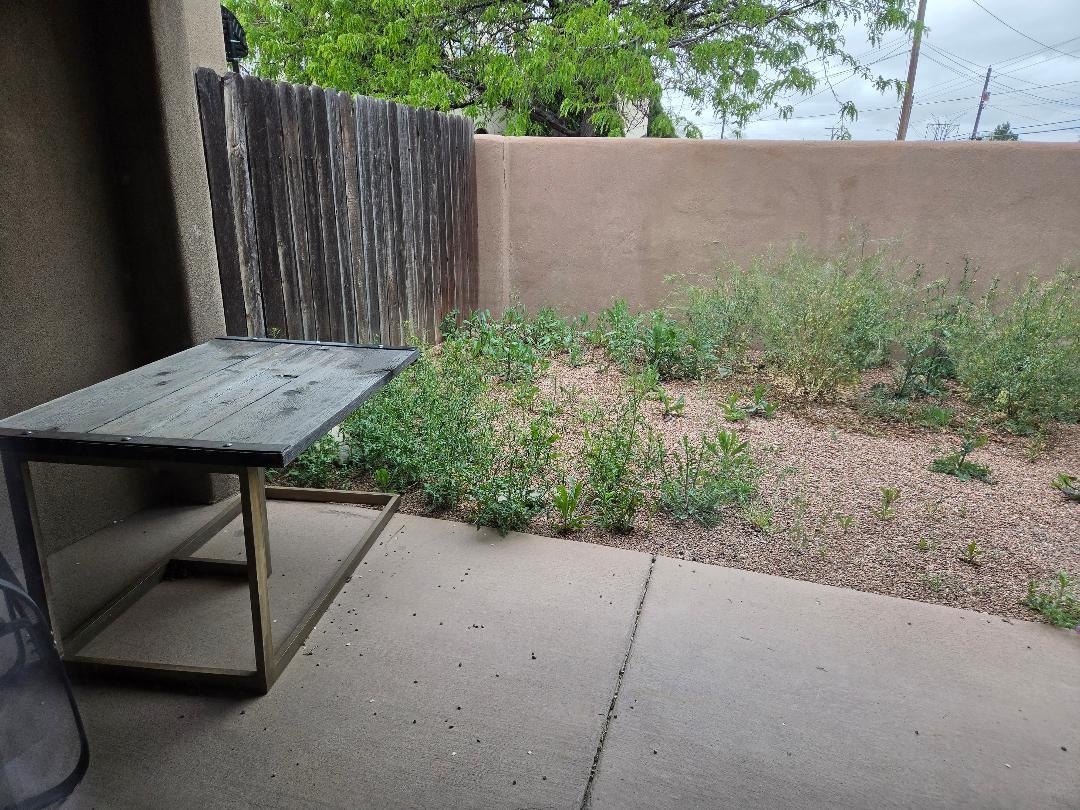 Patio table and backyard