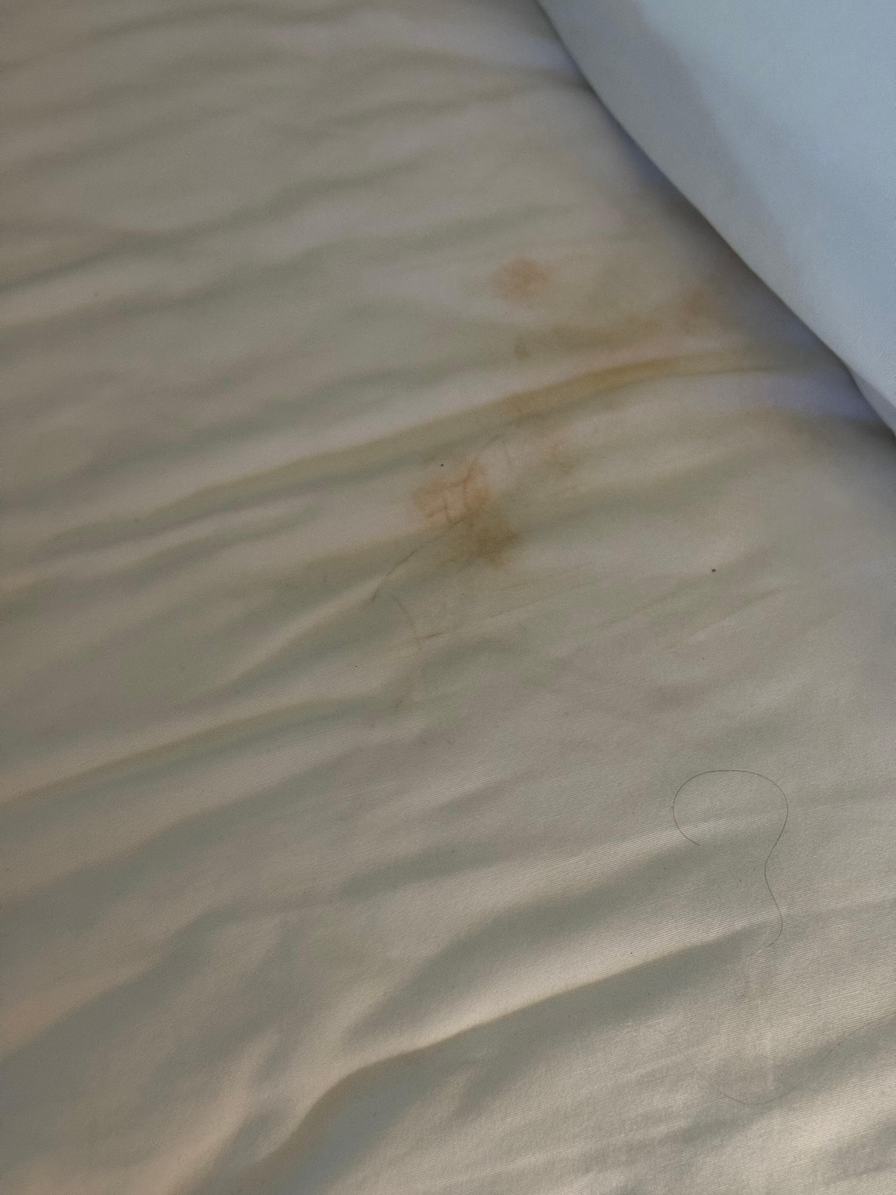 Stained sheets