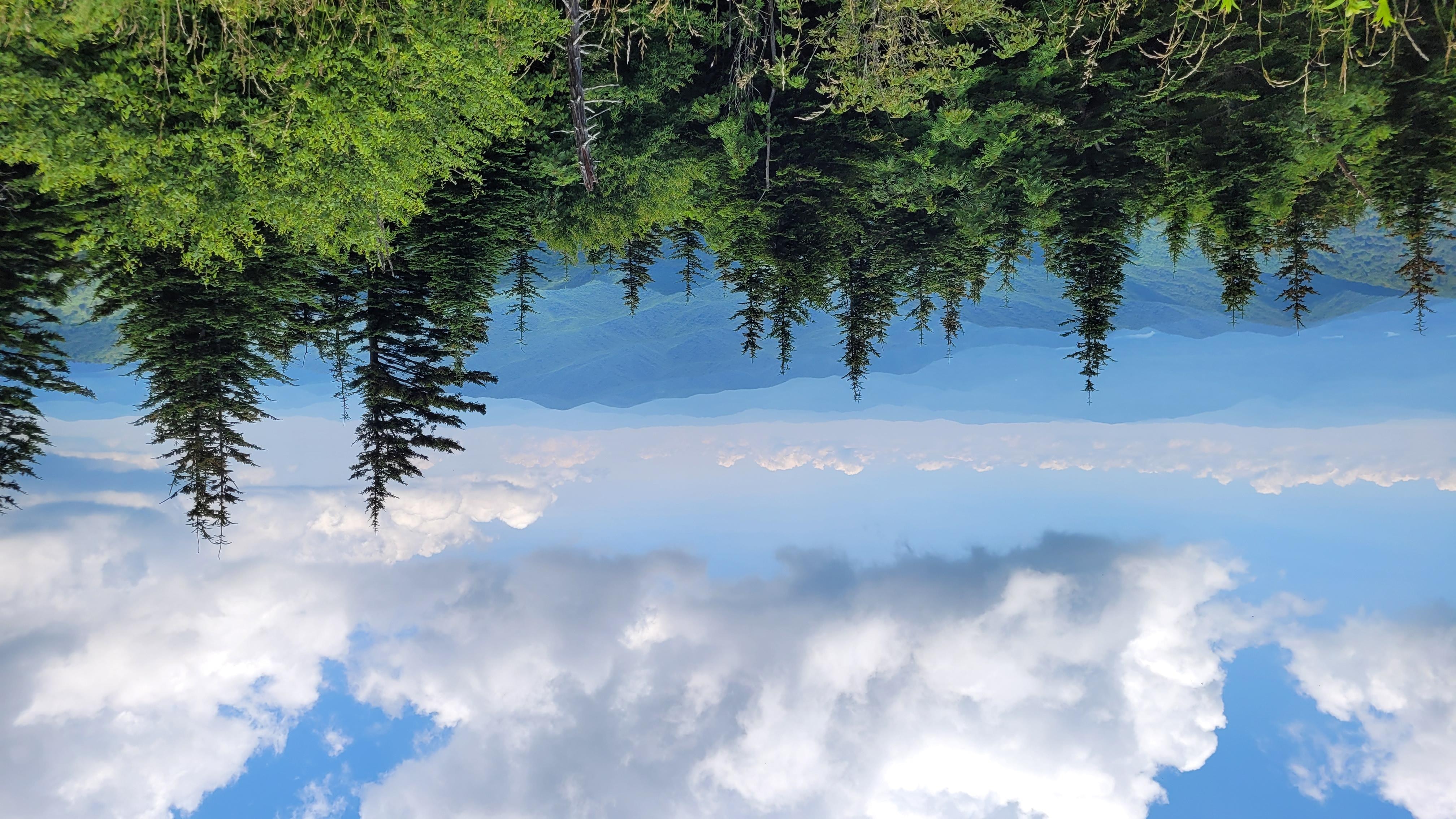 View from upper deck