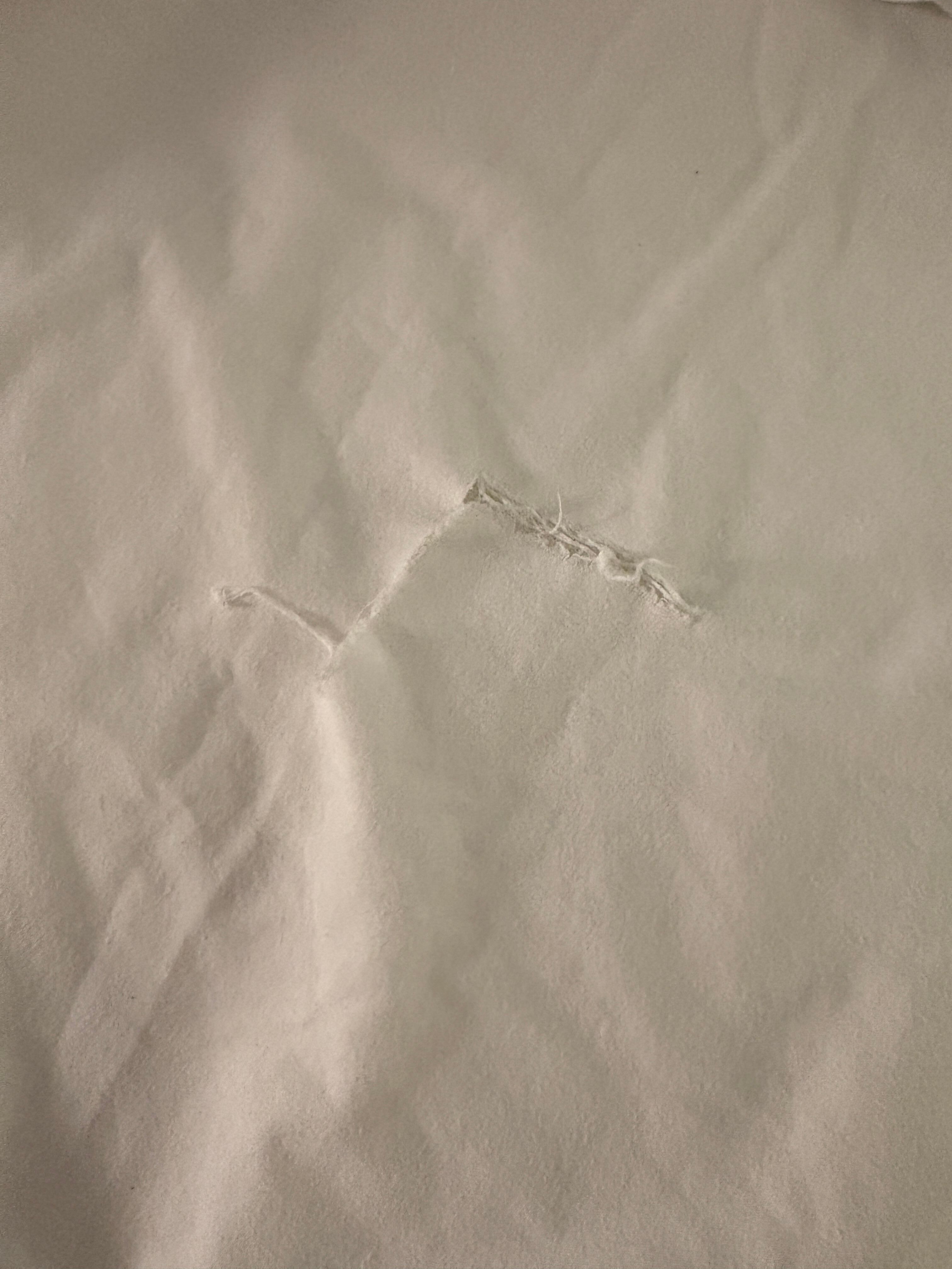 Torn sheets