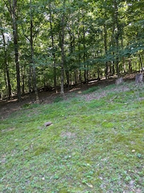 Side lawn