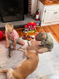 Toys were there for kiddos, they enjoyed playing with something new to them!