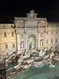 The perfect view. Fontana Trevi