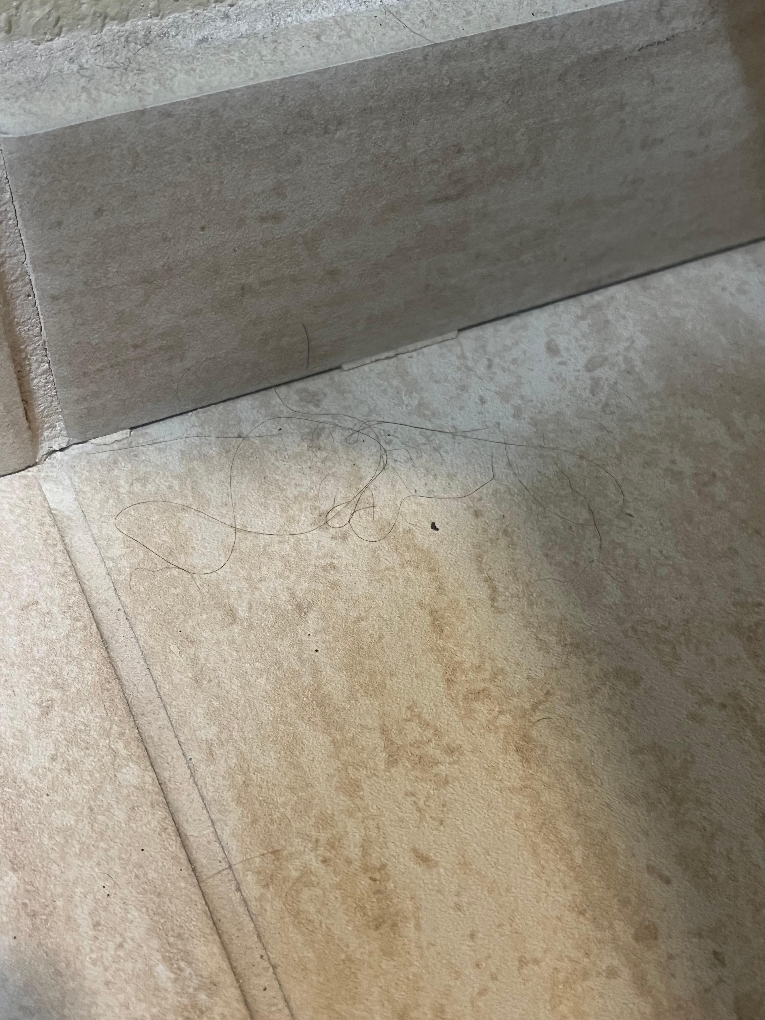 Hairs in the bathroom corners