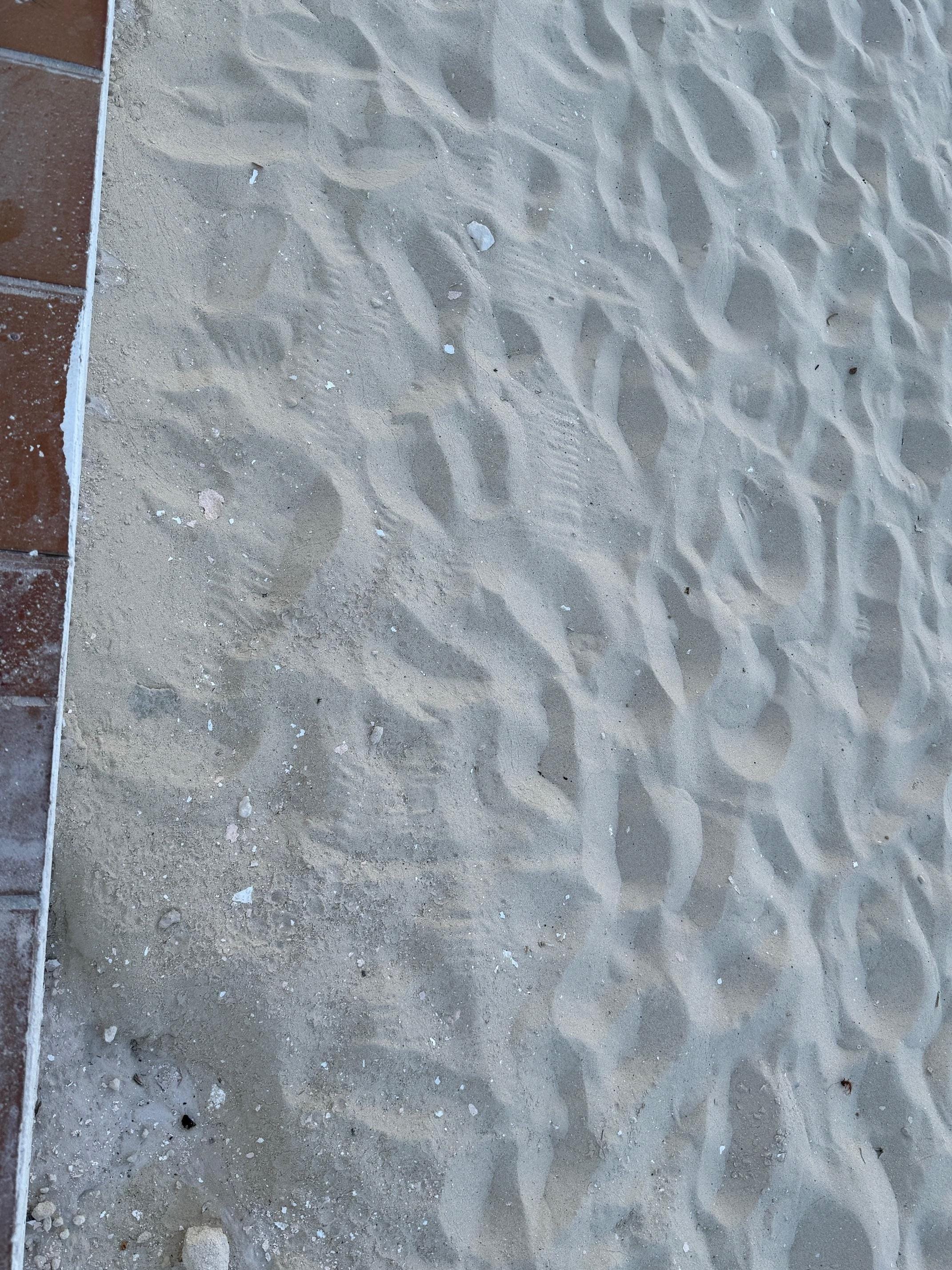 paint chips all over beach