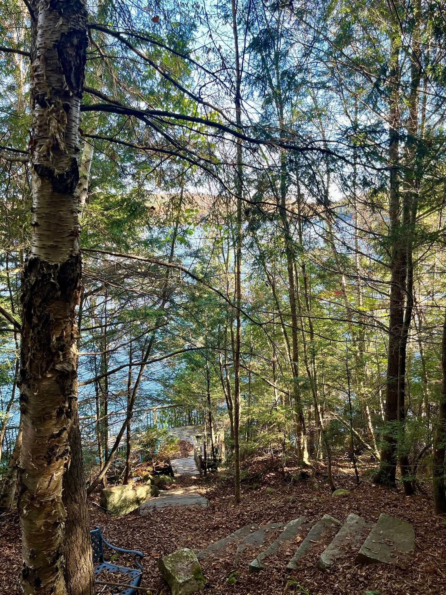Steps leading down to the lake. 