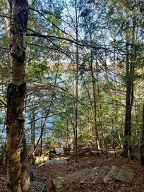 Steps leading down to the lake.