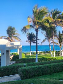 View from patio