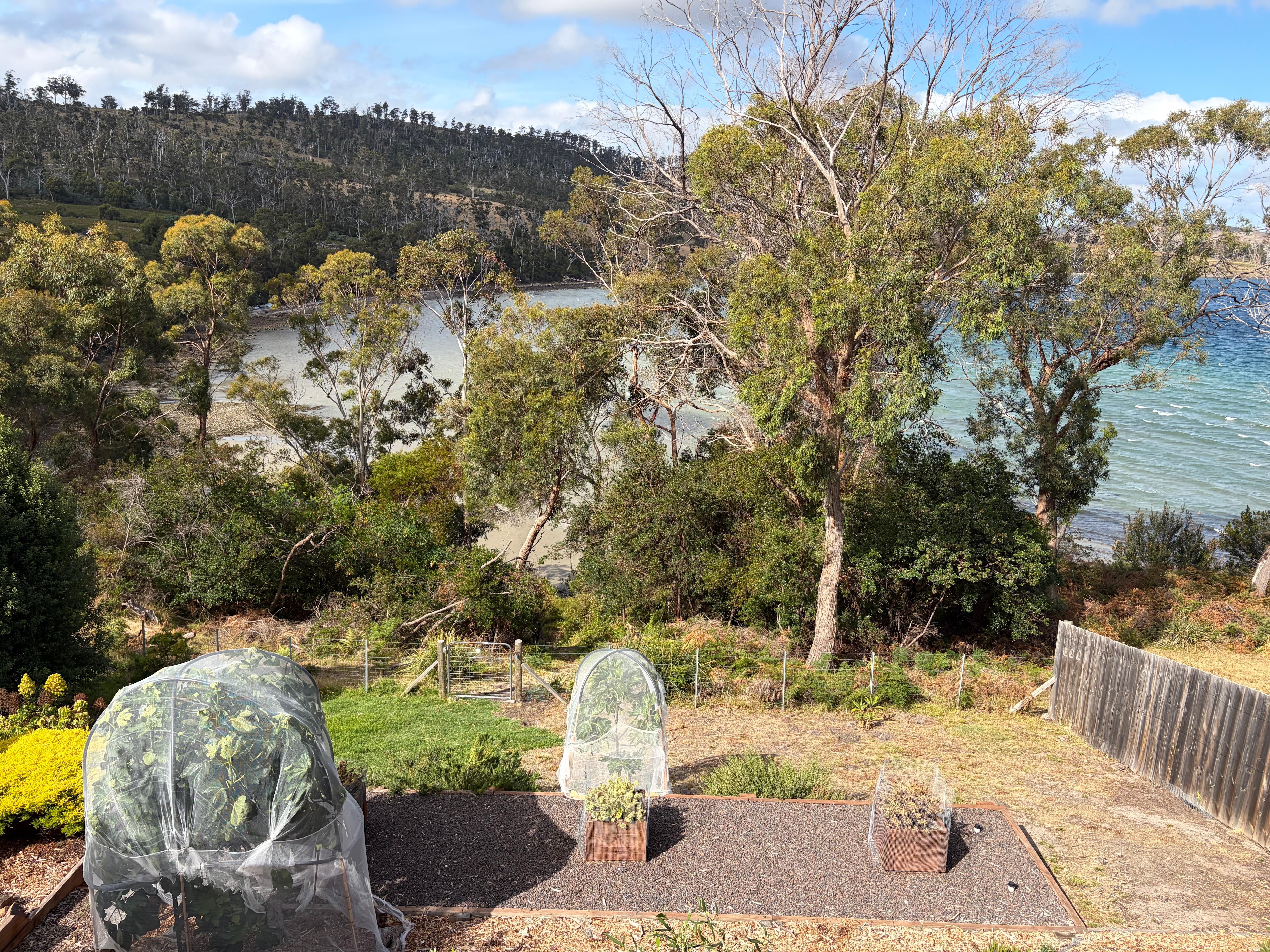 View from the top deck