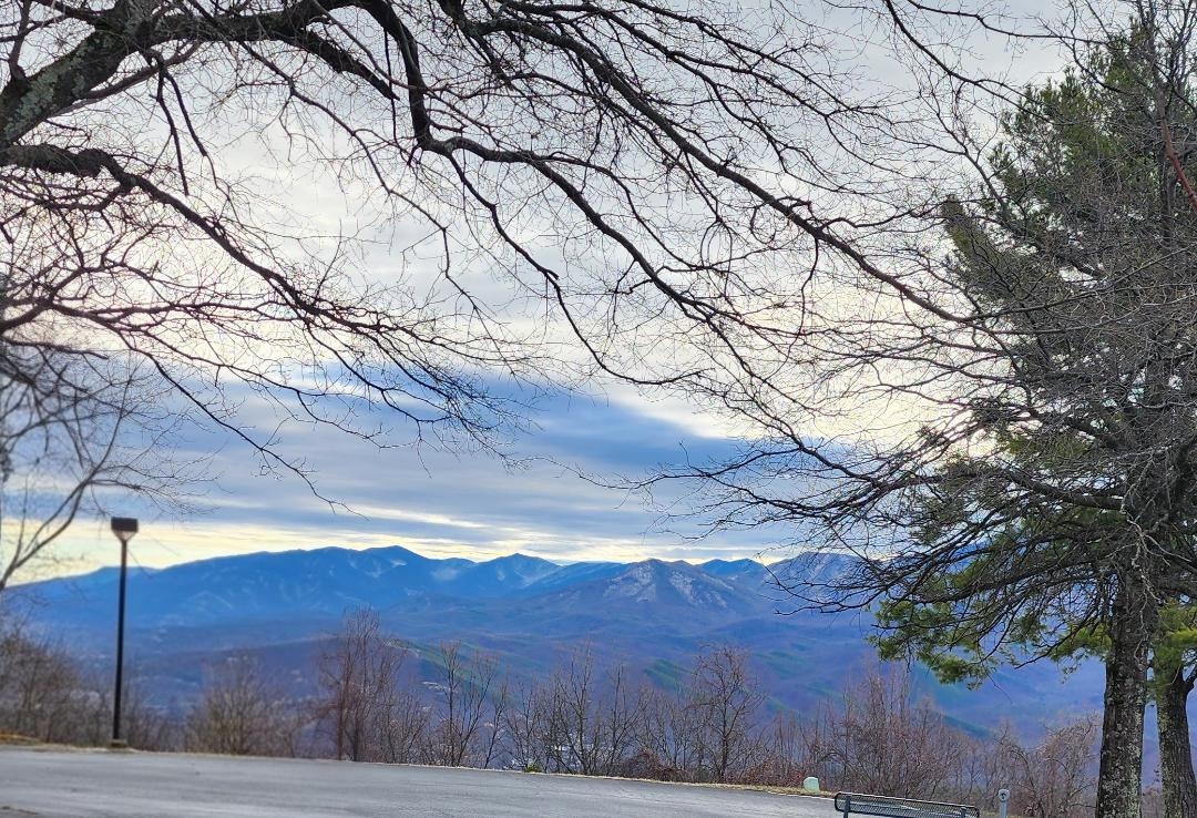 Day view, opposite side of building