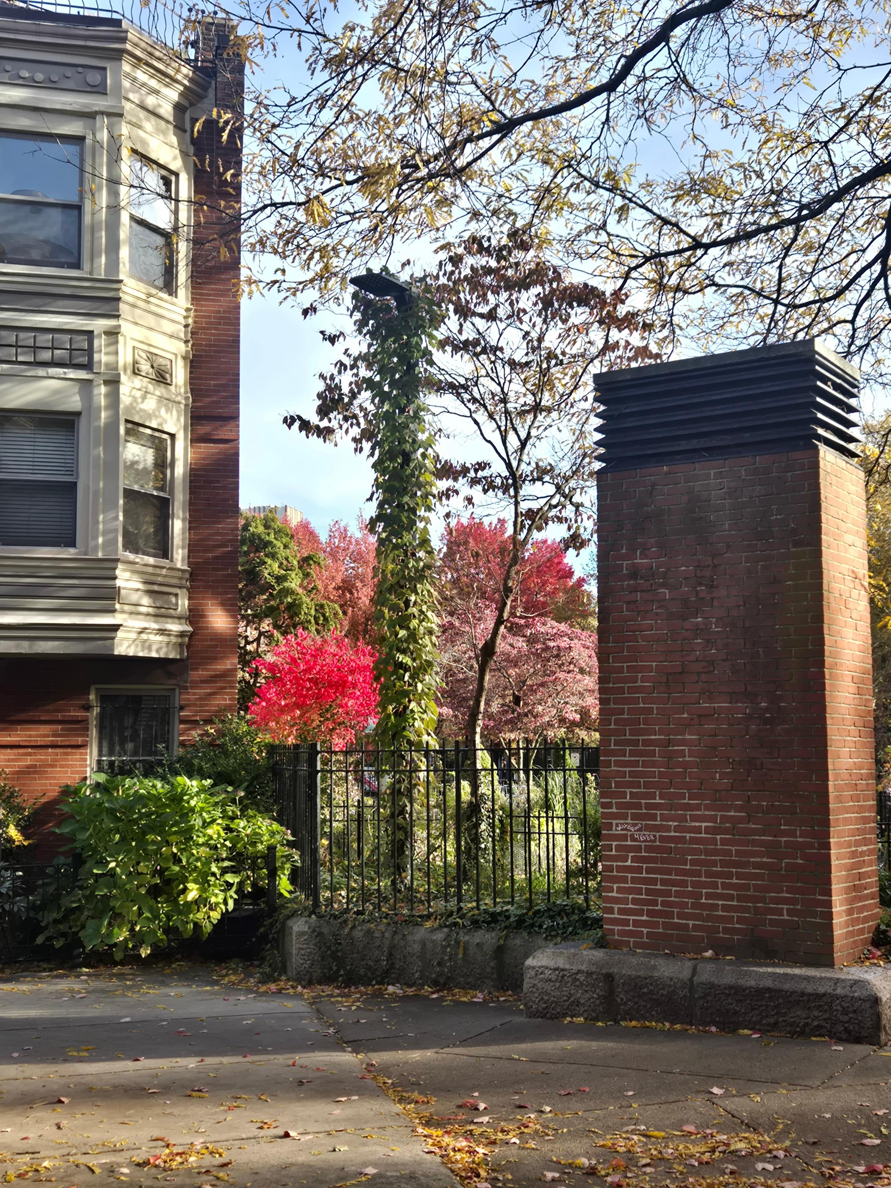 Green space close by