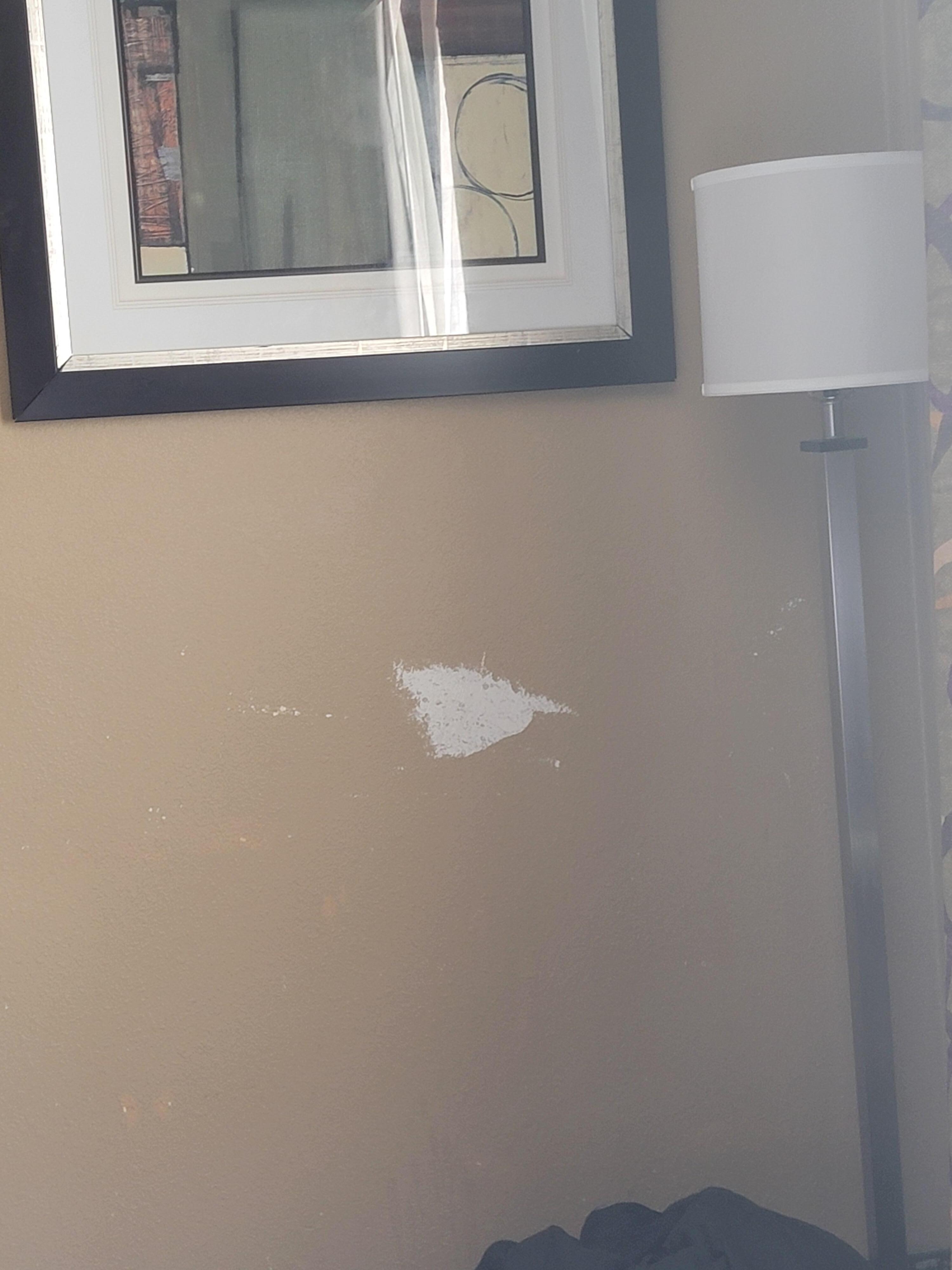 The walls
