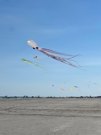 Kites on the beach!
