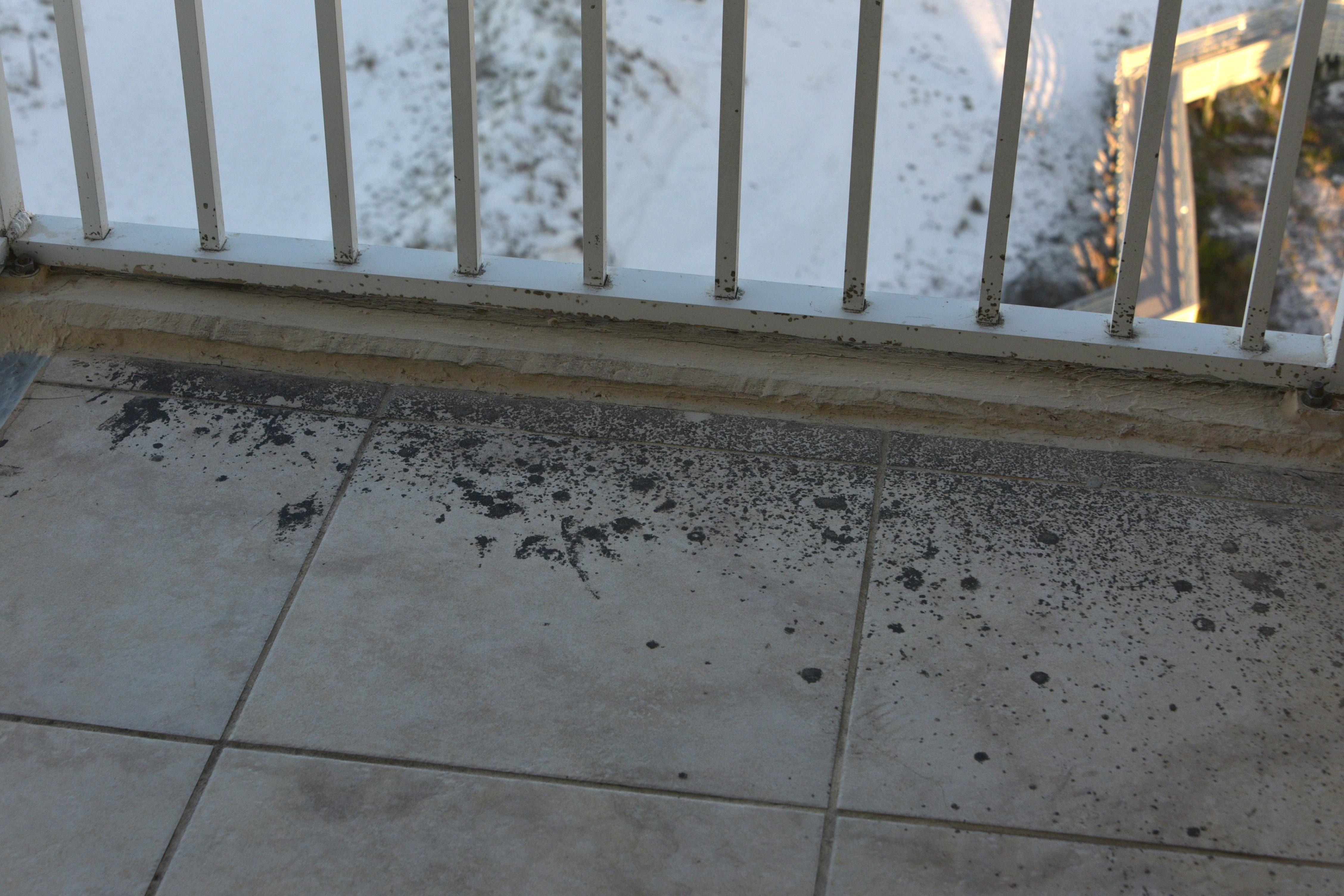 Not sure what this was. It was on the patio. 