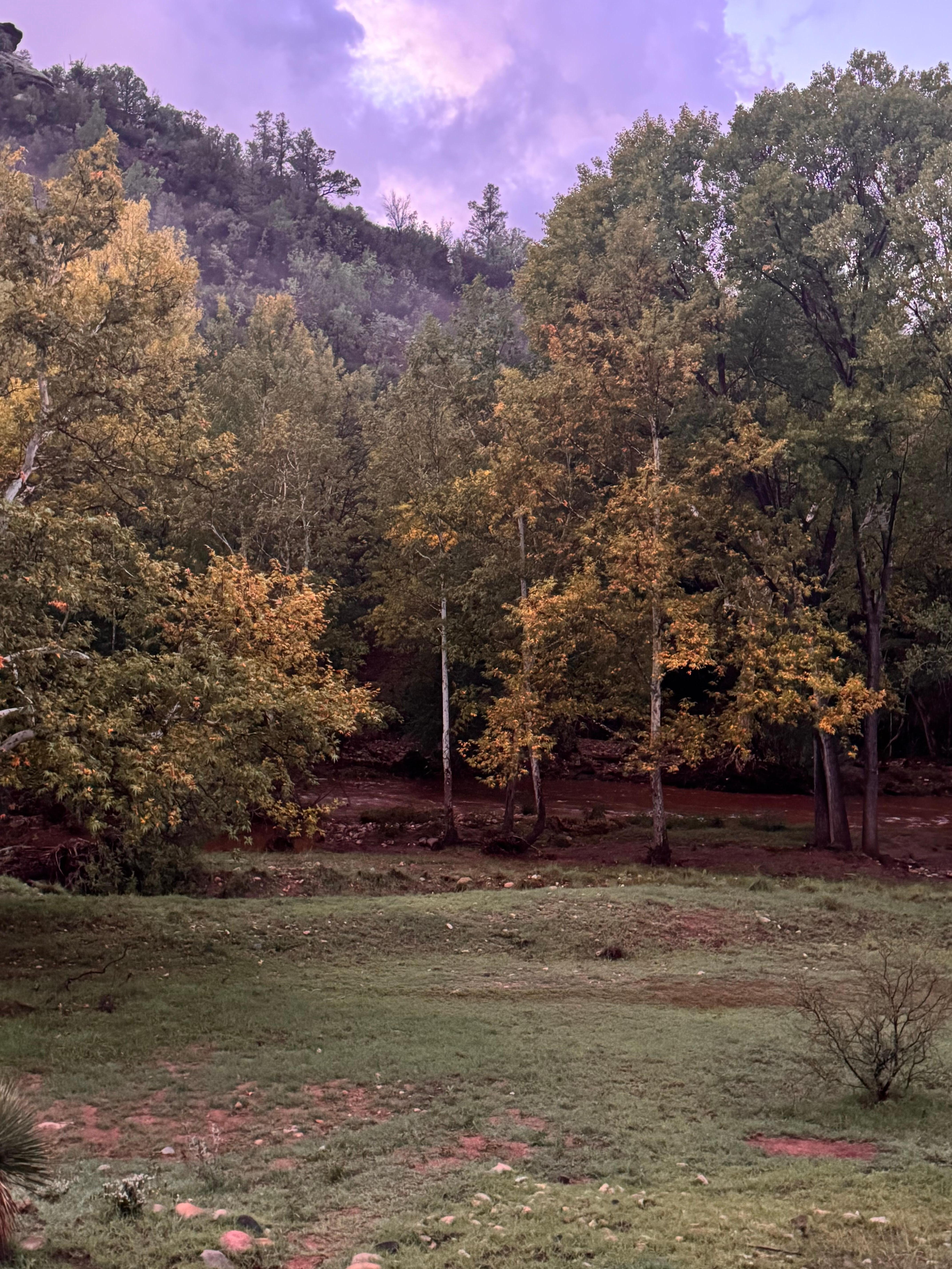 Creek view from the back porch where we spent most of our time. 