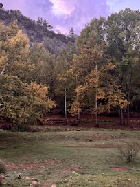 Creek view from the back porch where we spent most of our time.